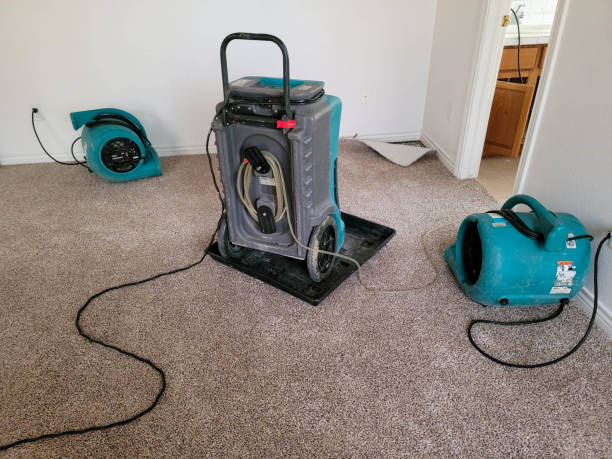 Best Ceiling water damage repair  in St Bernard, OH