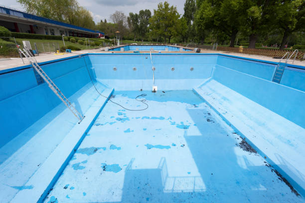 Best Professional water damage repair  in St Bernard, OH