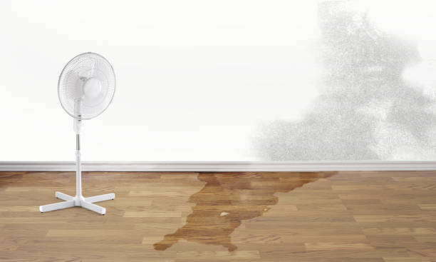 Best Water damage restoration near me  in St Bernard, OH