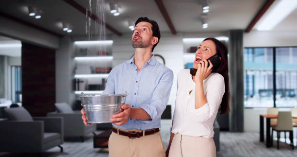 Best Water damage repair service  in St Bernard, OH